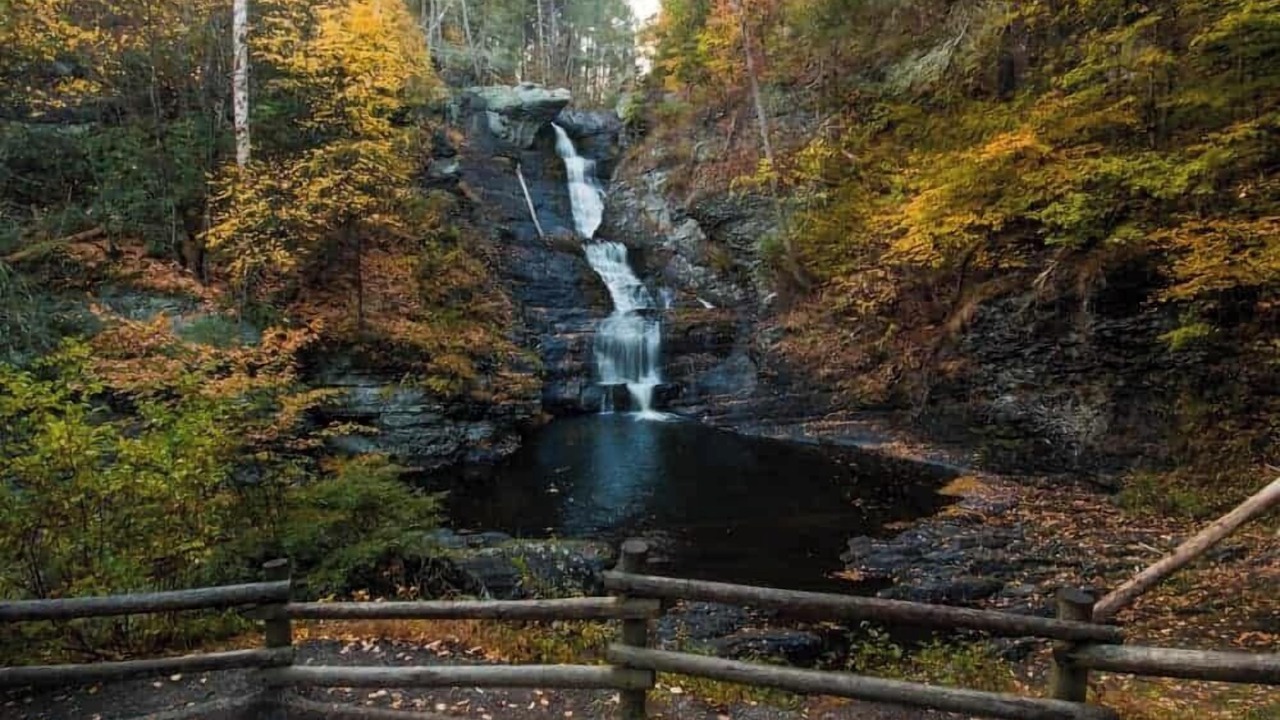 Photo of Others in Milford