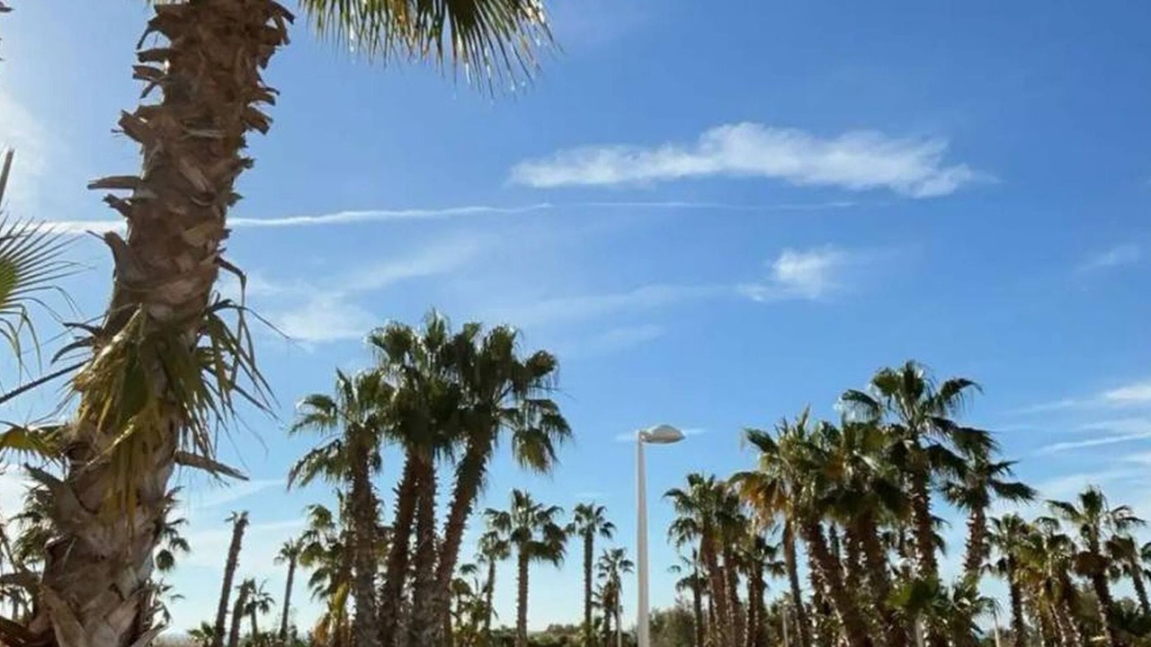 Photo of Outdoor in Cabanes