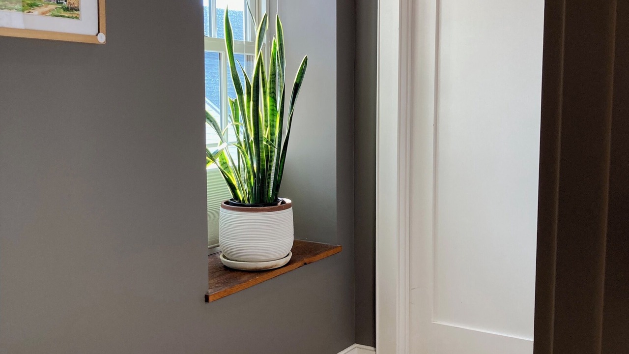 Photo of Others in Hudson