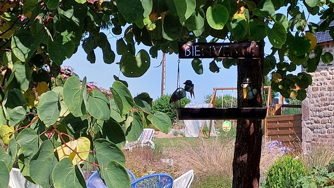 Photo of Outdoor in Guidel