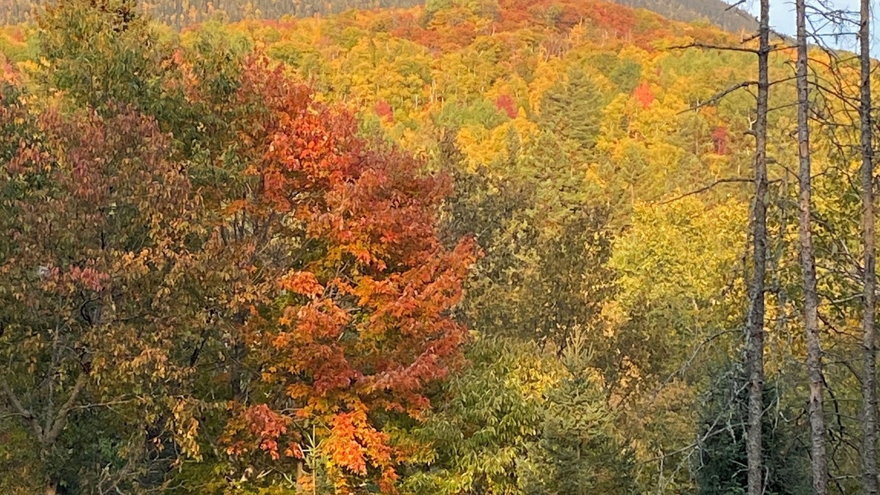 Photo of Others in Stratton