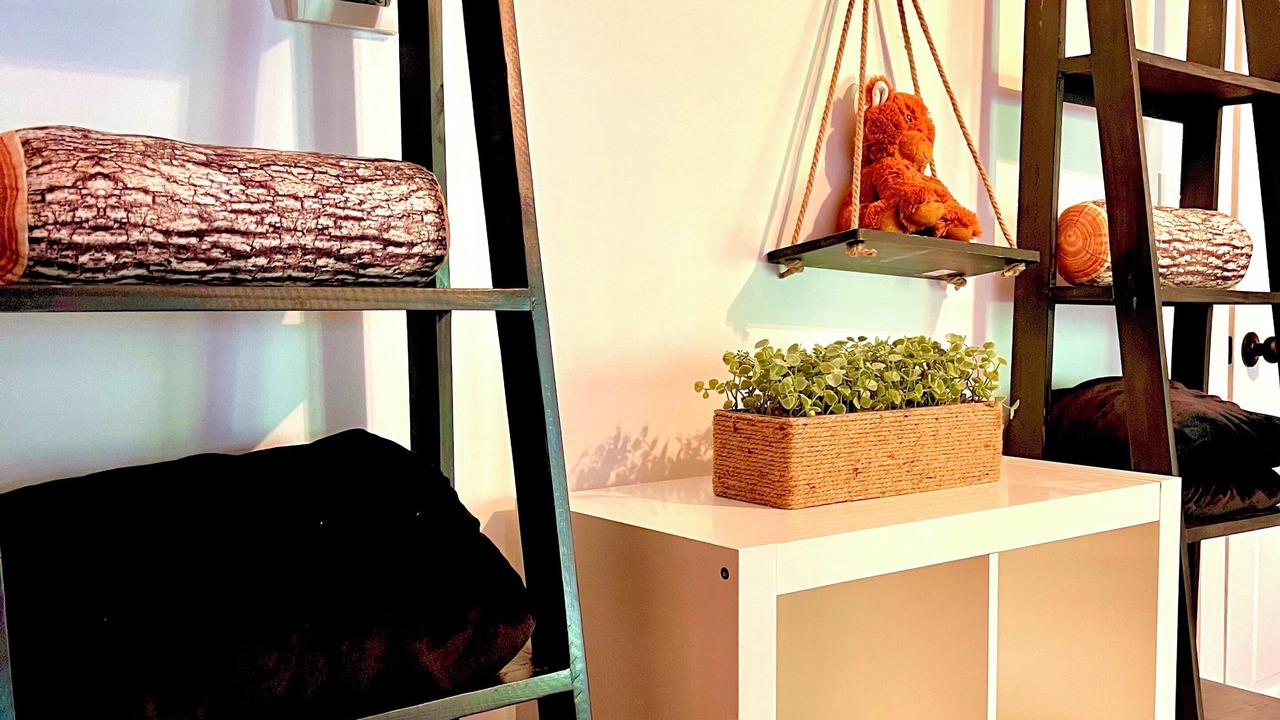 Photo of Others in Campton