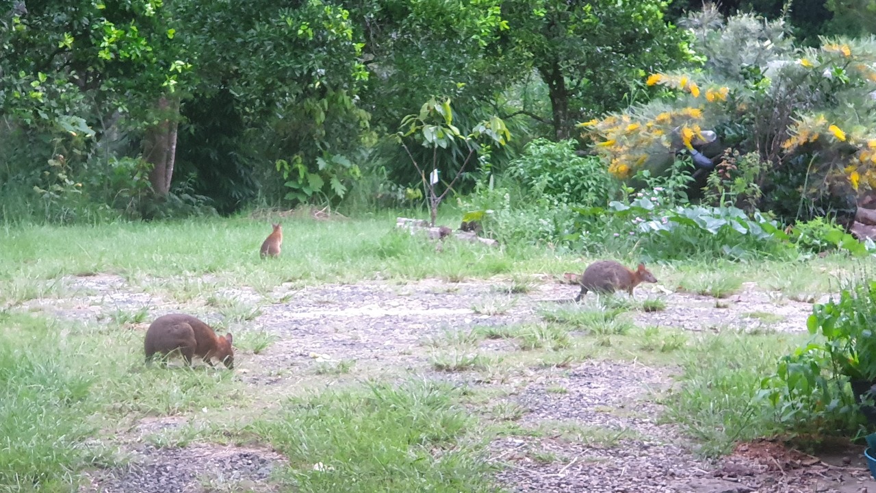Photo of Outdoor in Repentance Creek