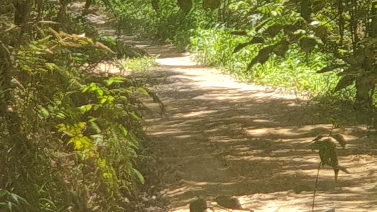 Photo of Outdoor in Repentance Creek
