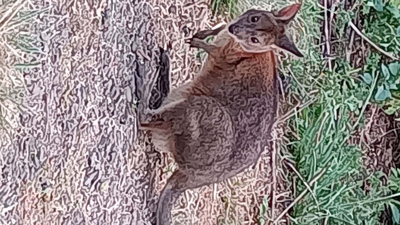Photo of Others in Repentance Creek