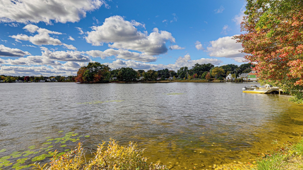 Photo of Others in Pembroke