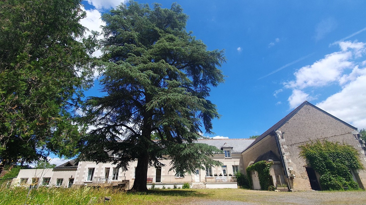 Photo of Outdoor in Chisseaux