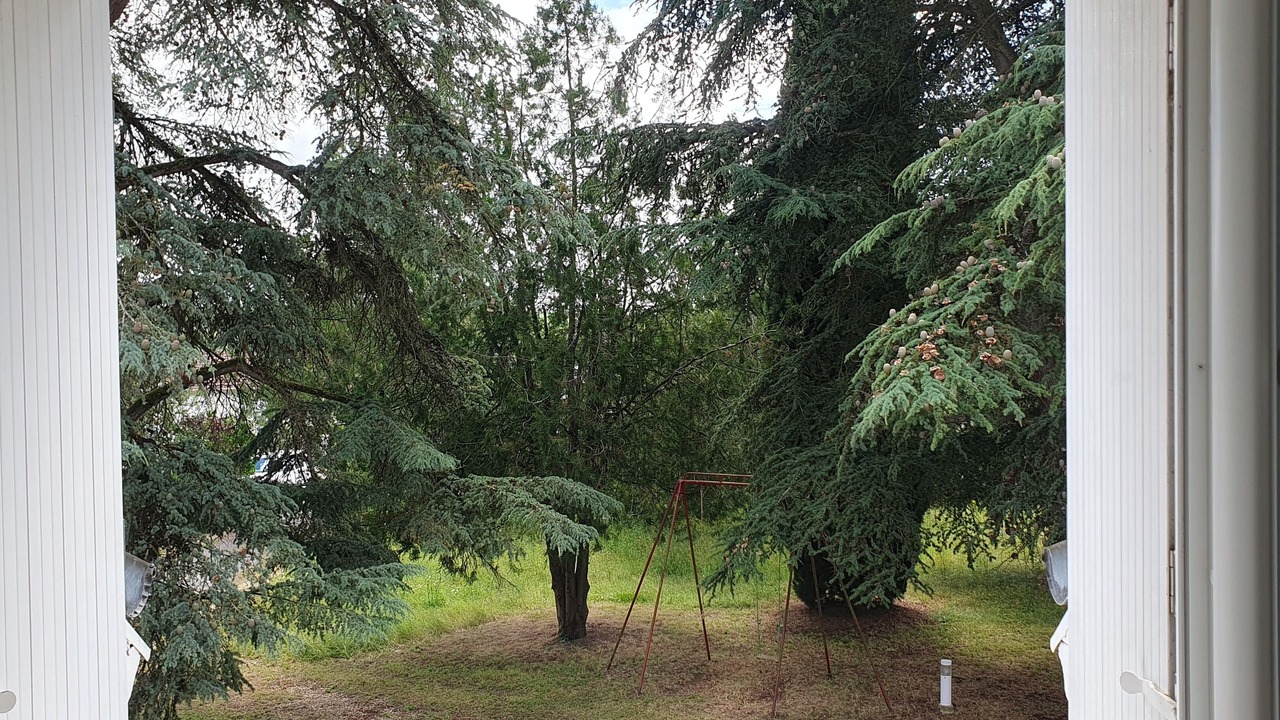 Photo of Others in Chisseaux