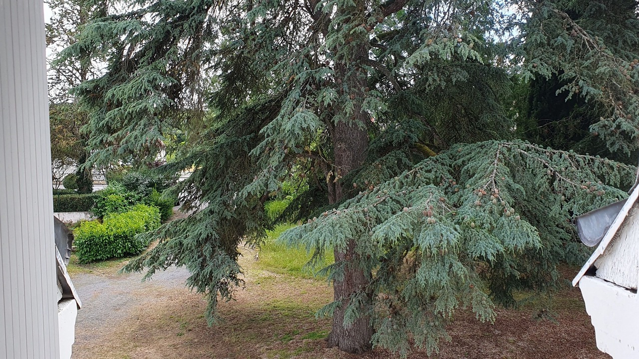 Photo of Outdoor in Chisseaux