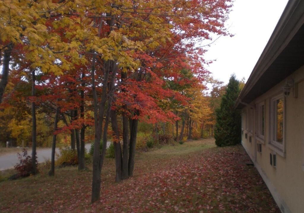 Photo of Outdoor in Blind River