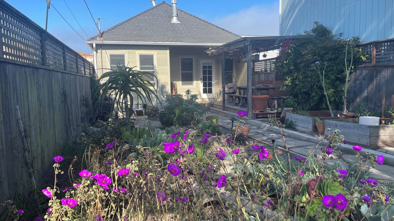 Photo of Outdoor in Outer Sunset