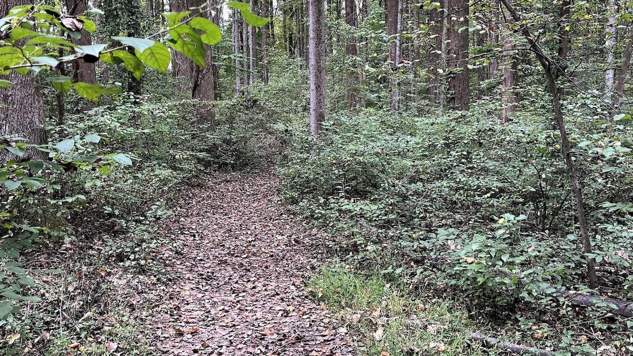 Photo of Others in Darnestown