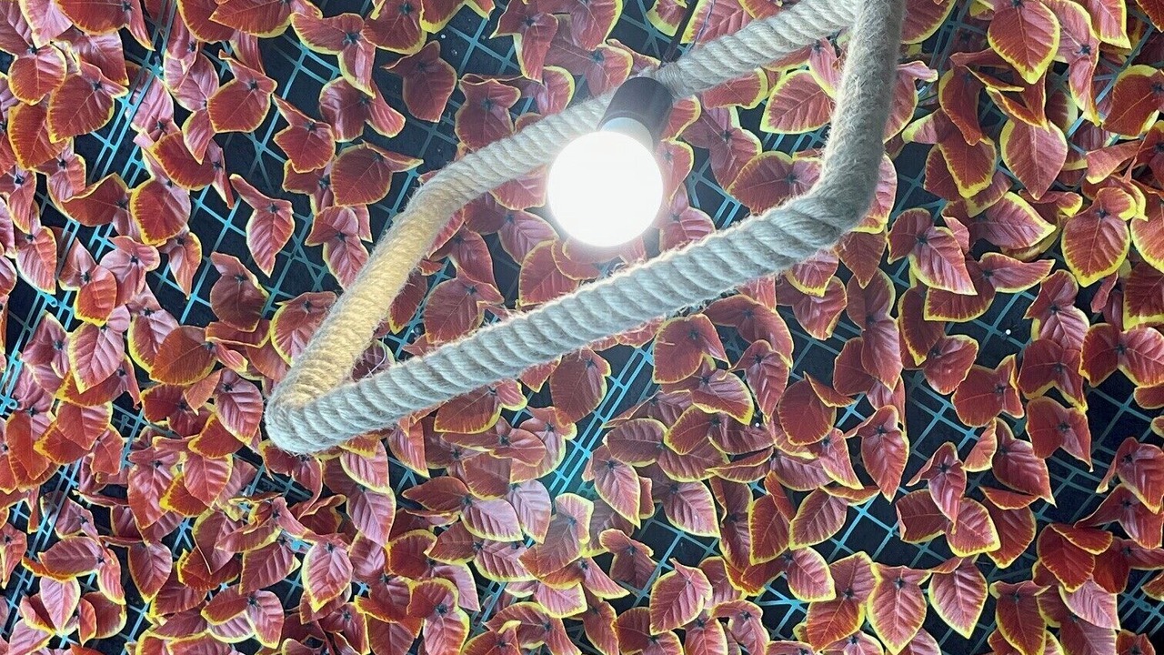 Photo of Others in Higuey