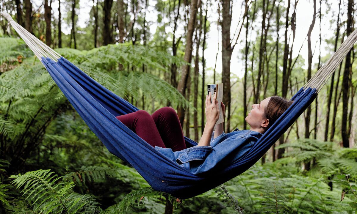 Photo of Others in Olinda