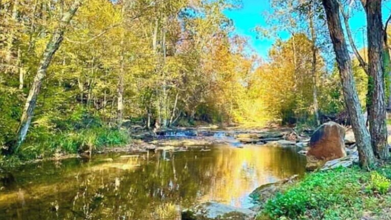 Photo of Others in Baxter