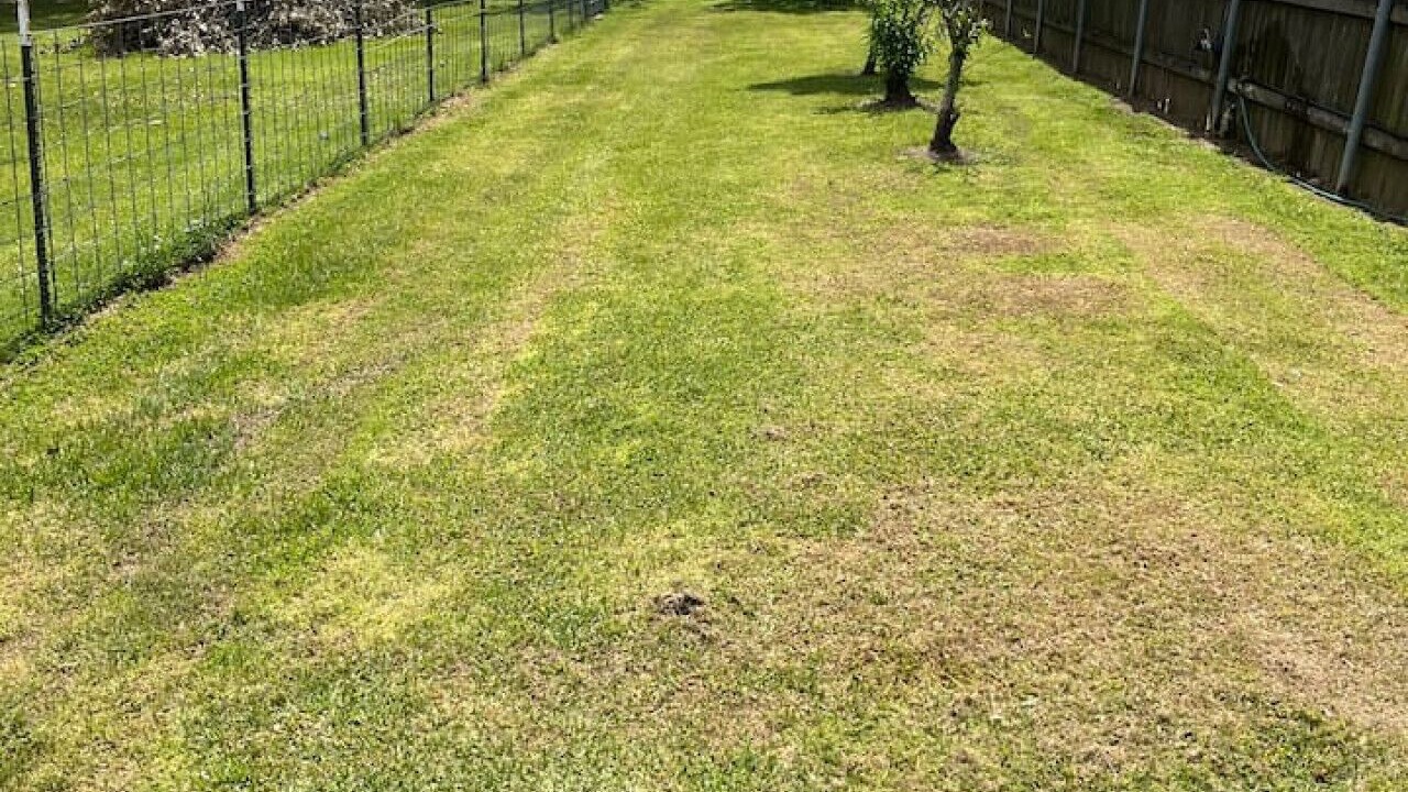 Photo of Outdoor in Breaux Bridge
