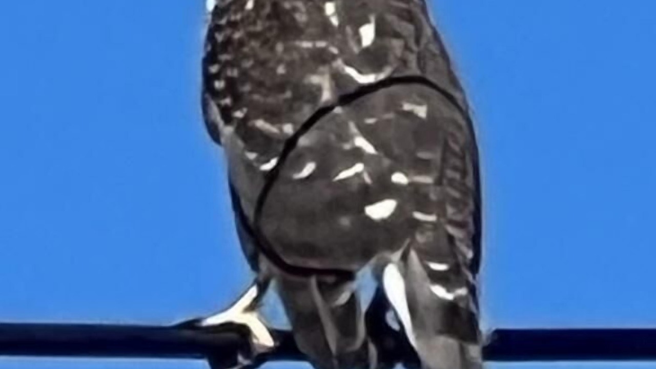 Photo of Outdoor in Santa Veronica