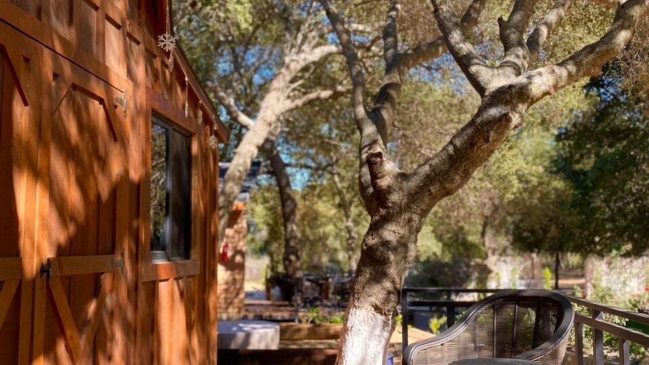 Photo of Others in Santa Veronica