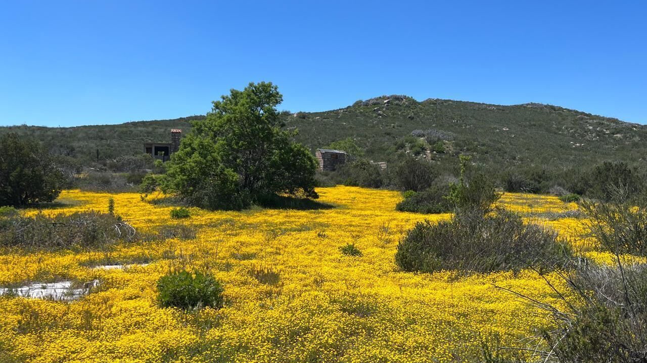Photo of Others in Santa Veronica