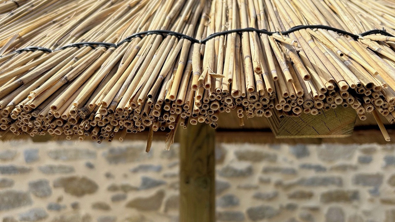 Photo of Outdoor in Josse