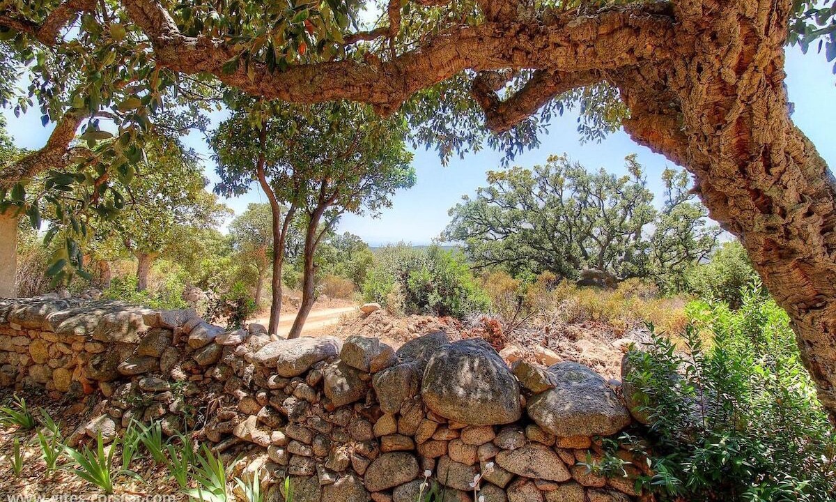 Photo of Outdoor in Monacia-d'Aullene