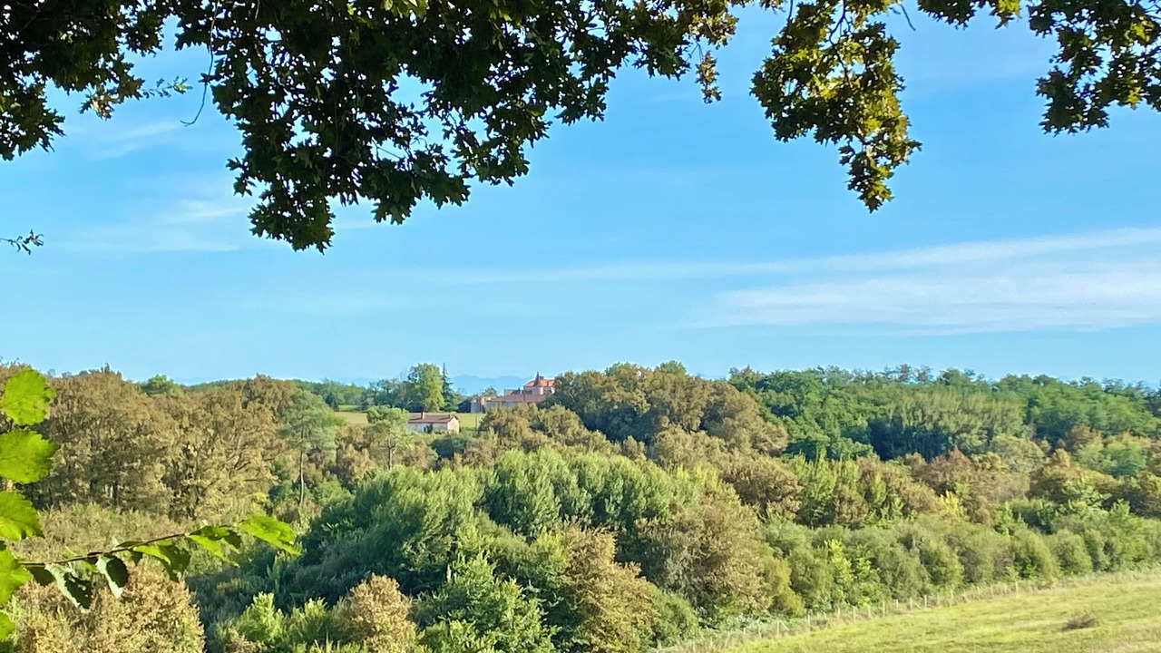 Photo of Outdoor in Betbezer-d'Armagnac