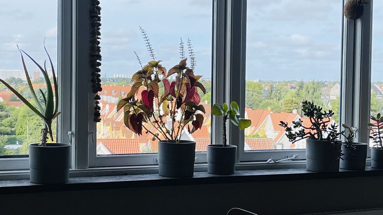 Photo of Others in Copenhagen SV