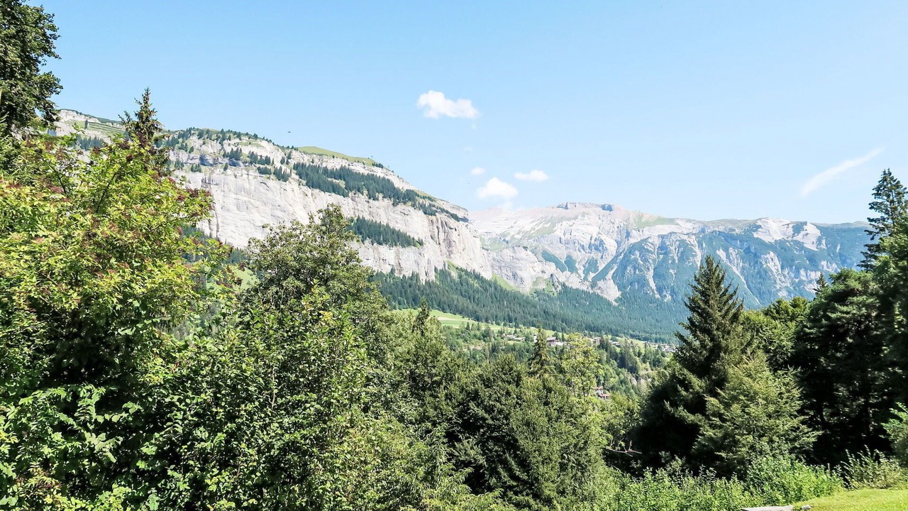 Photo of Others in Flims