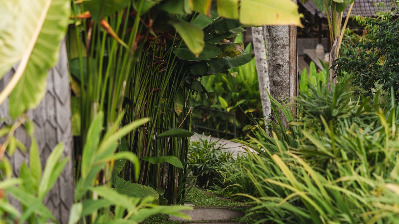 Photo of Outdoor in Nyuh Kuning