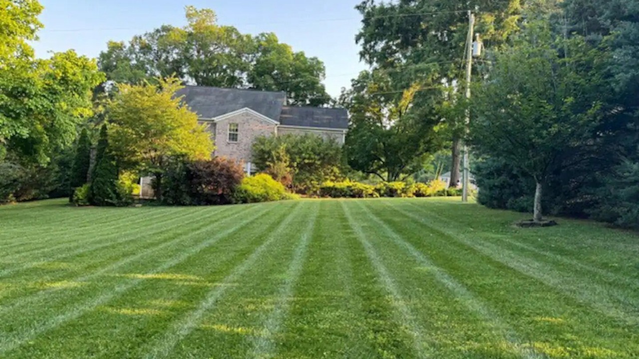 Photo of Outdoor in Mint Hill