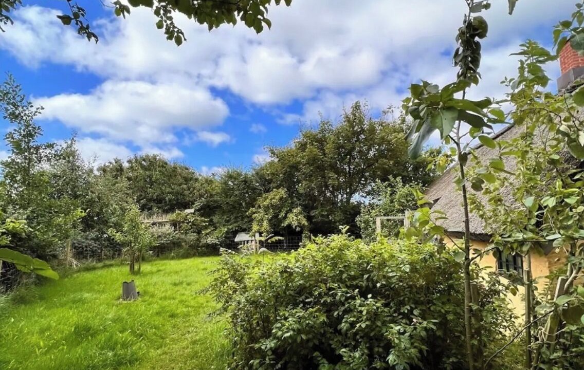Photo of Outdoor in Hurup Thy