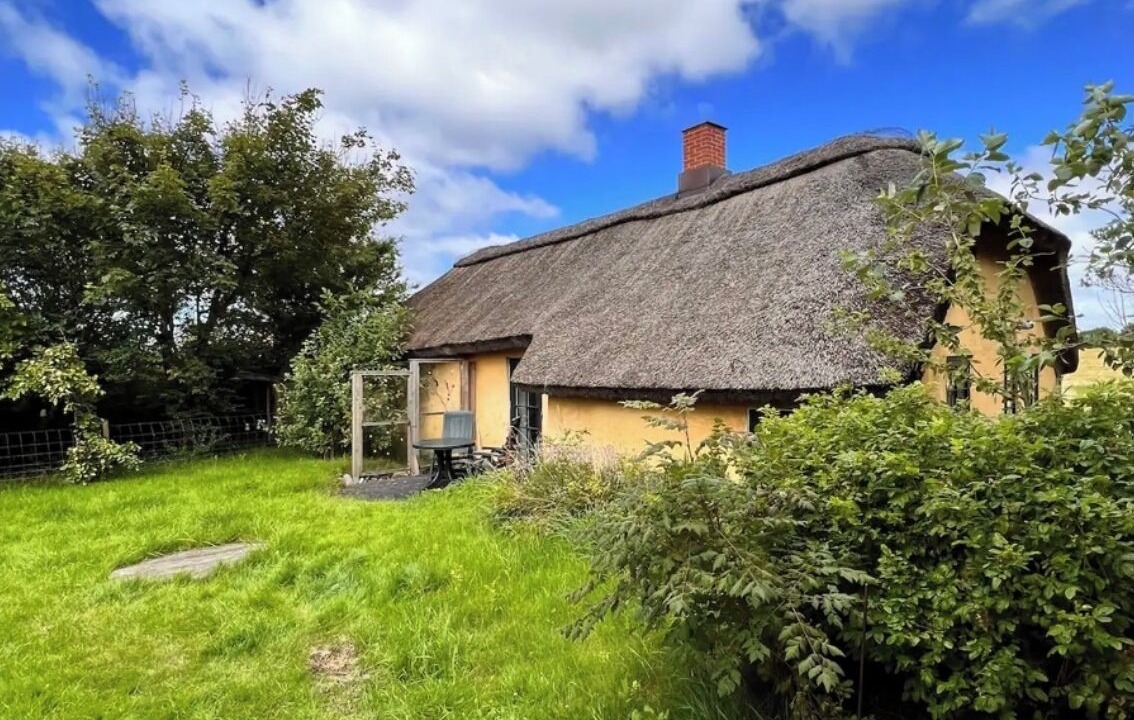 Photo of Outdoor in Hurup Thy