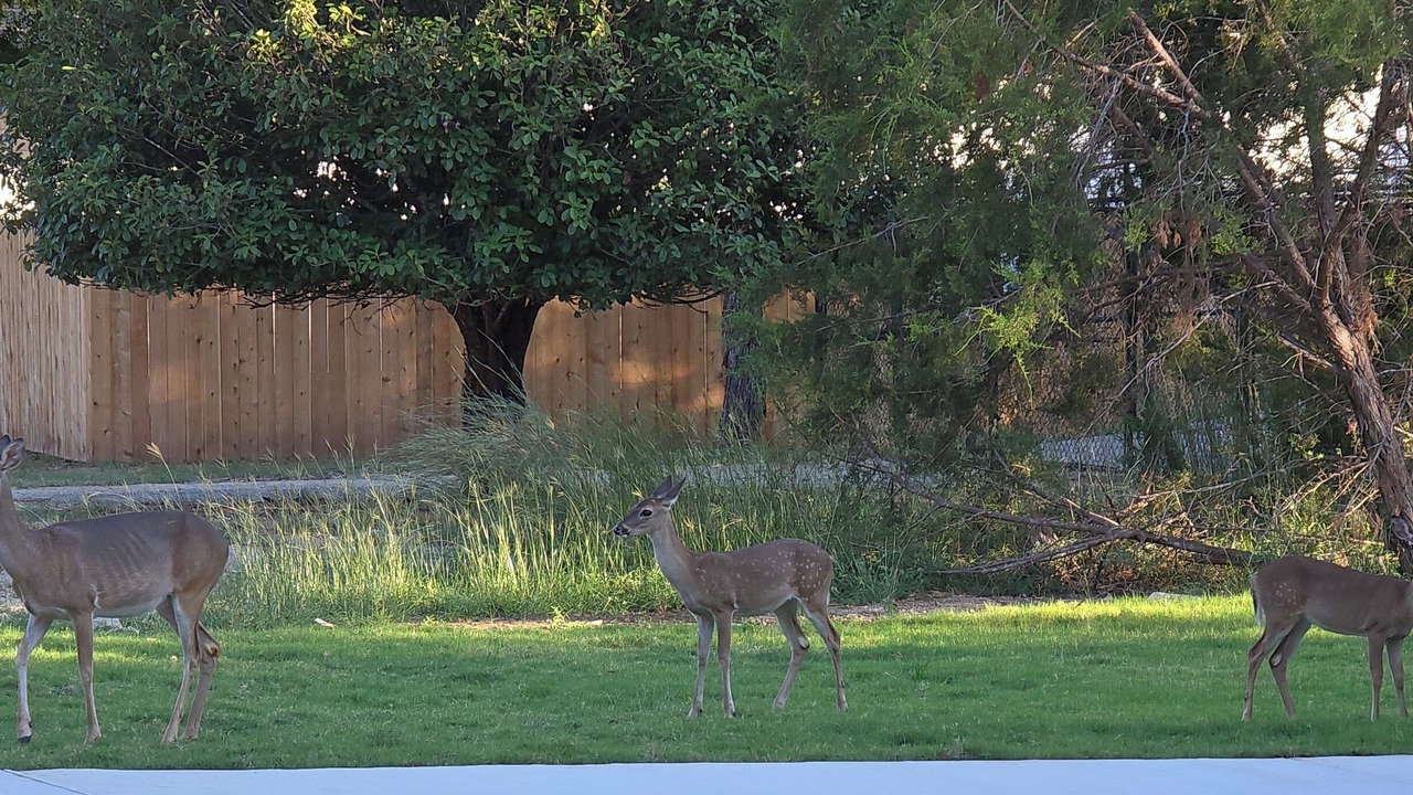 Photo of Others in Highland Lake Estates