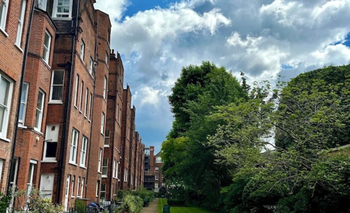 Photo of Others in Belgravia