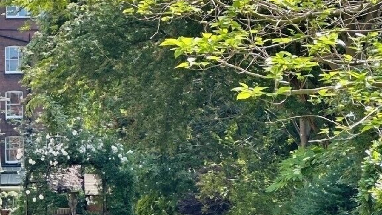 Photo of Outdoor in Belgravia