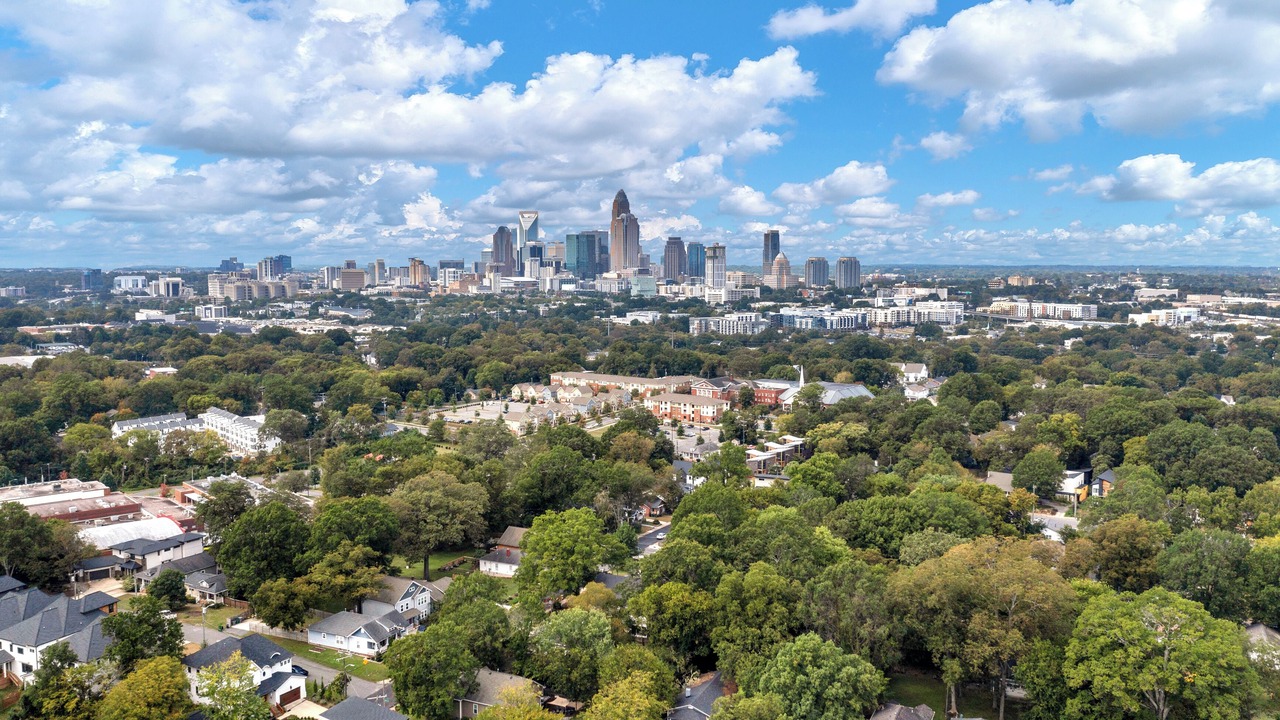 Photo of Outdoor in Plaza Midwood