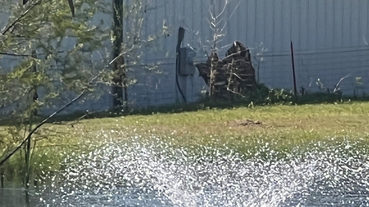 Photo of Outdoor in Heath