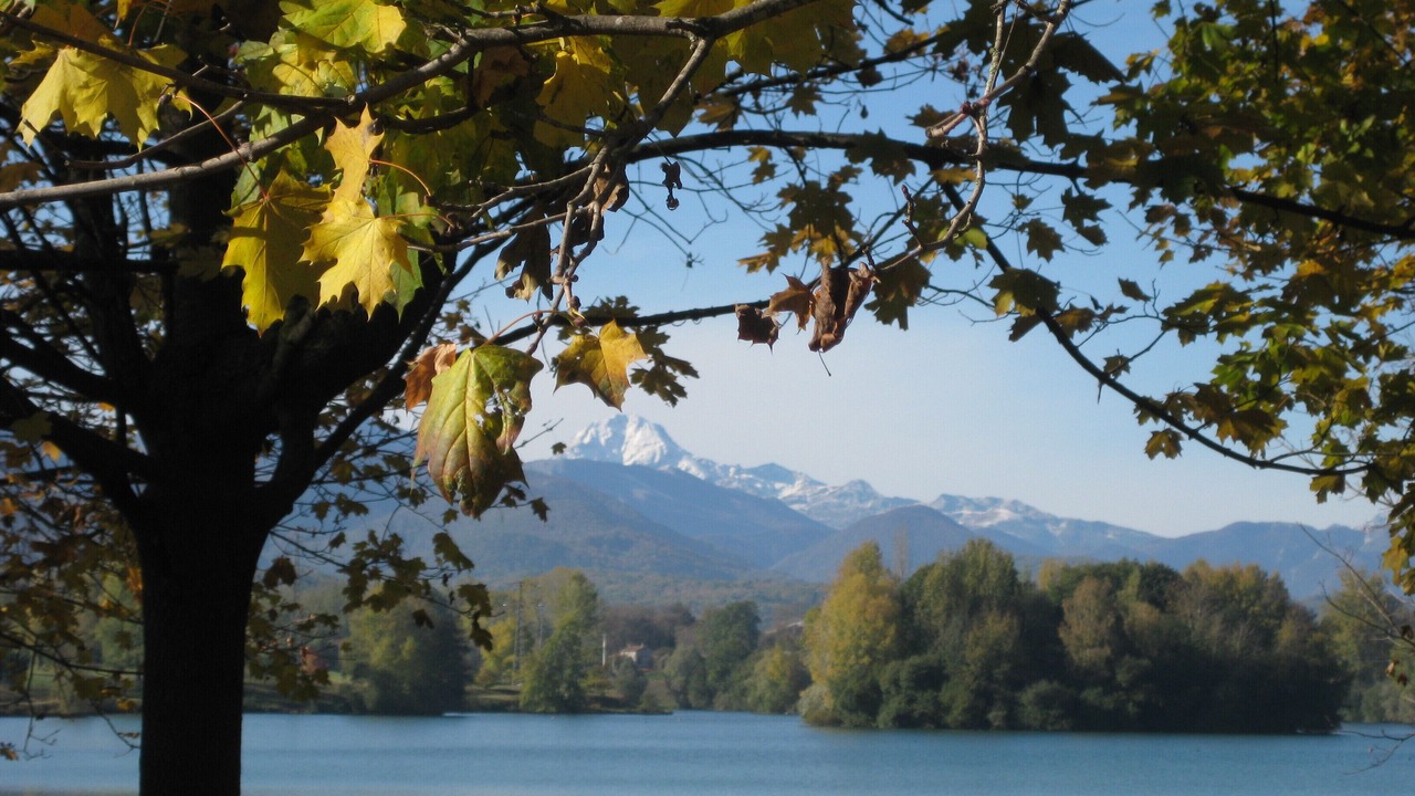 Photo of Others in Montrejeau