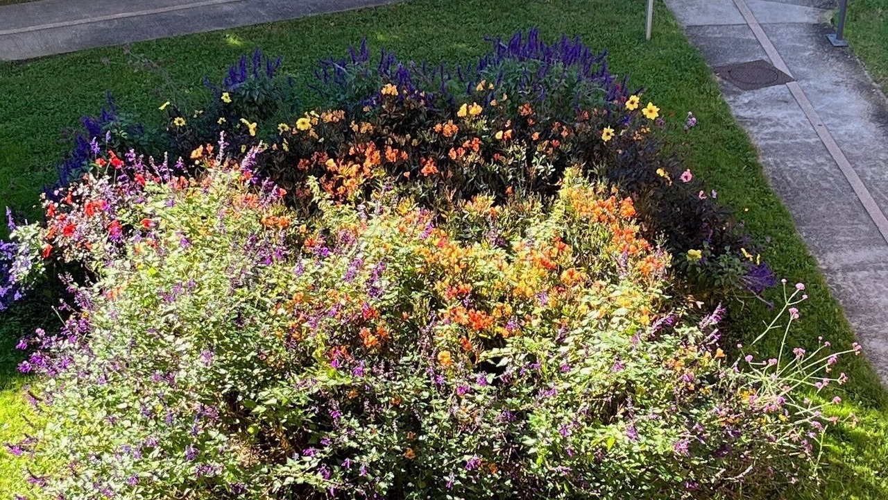 Photo of Outdoor in Montrejeau