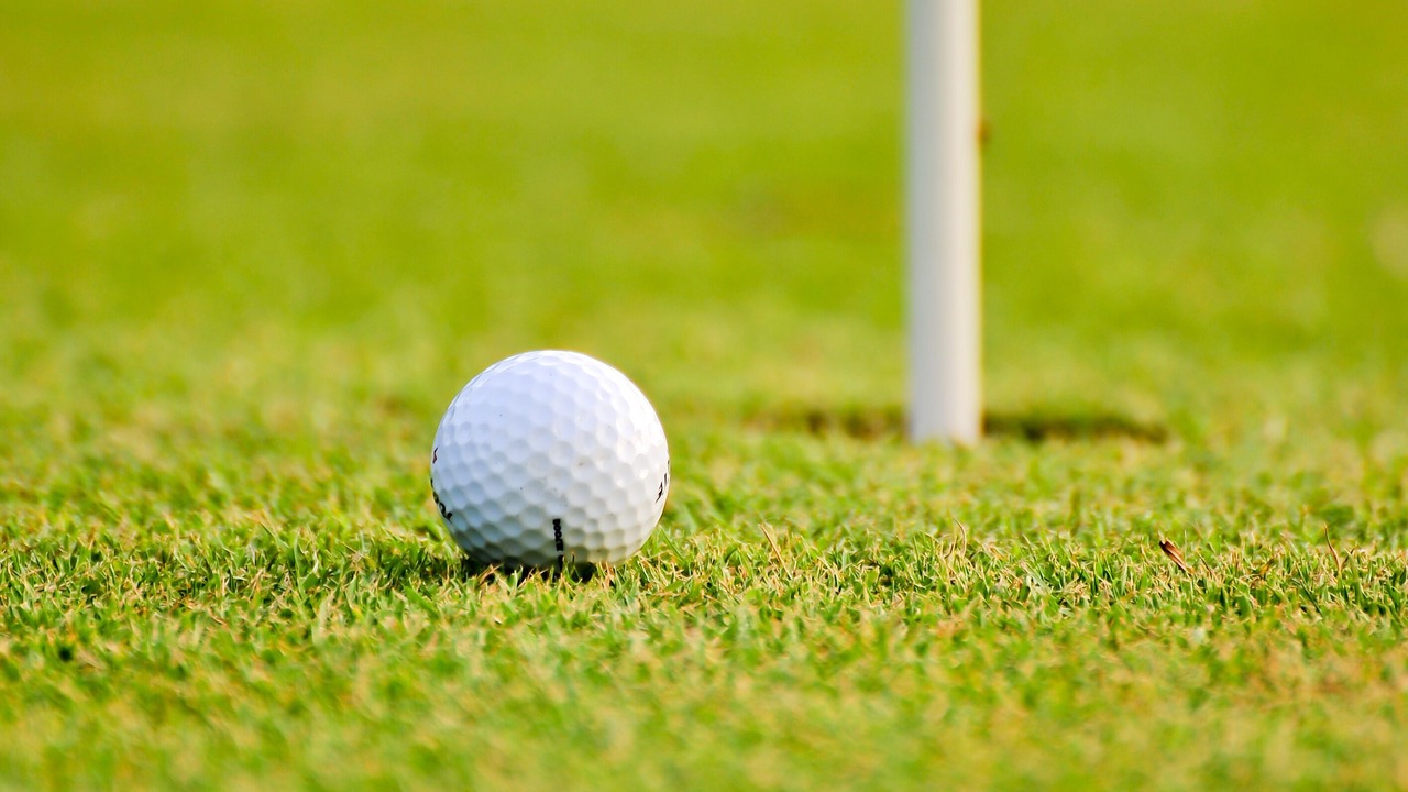 Photo of Others in Montrejeau