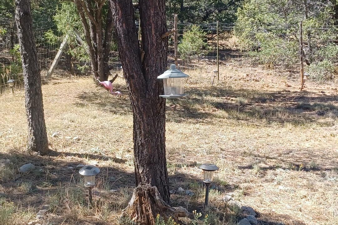 Photo of Outdoor in Ramblewoods