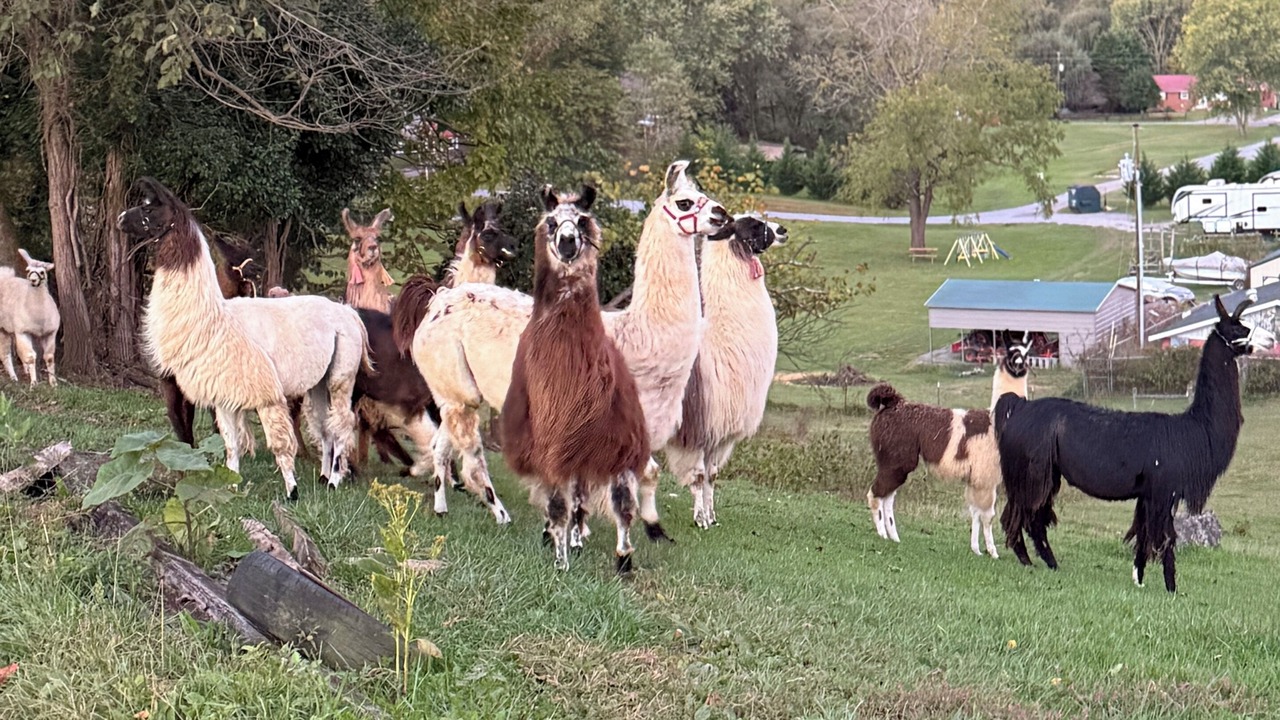 Photo of Others in Greene County