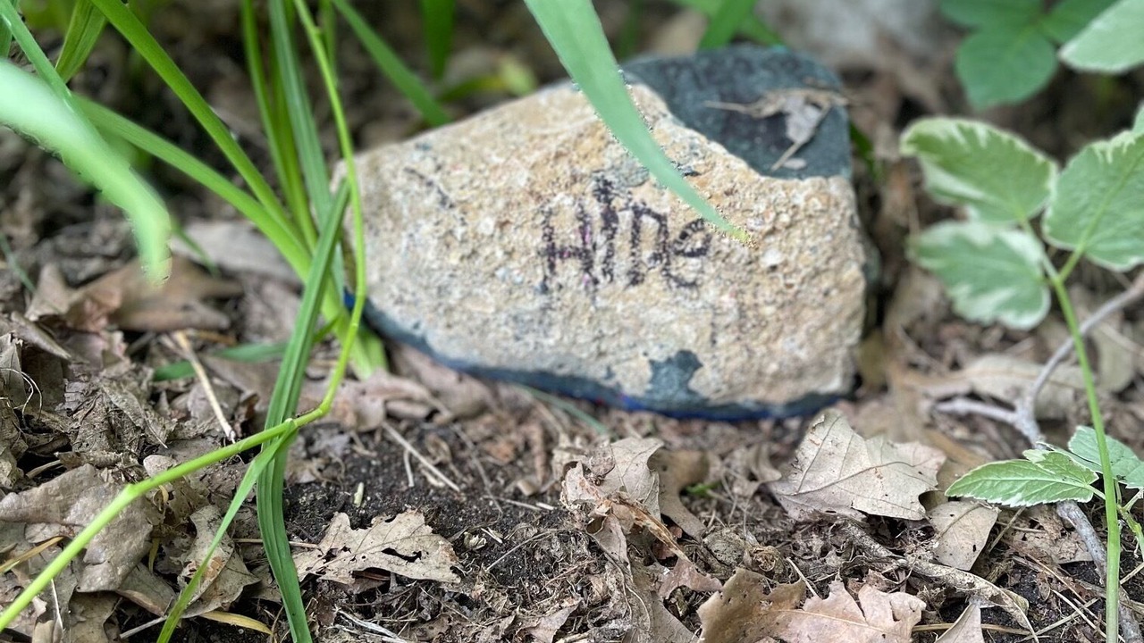 Photo of Outdoor in B-Say-Tah