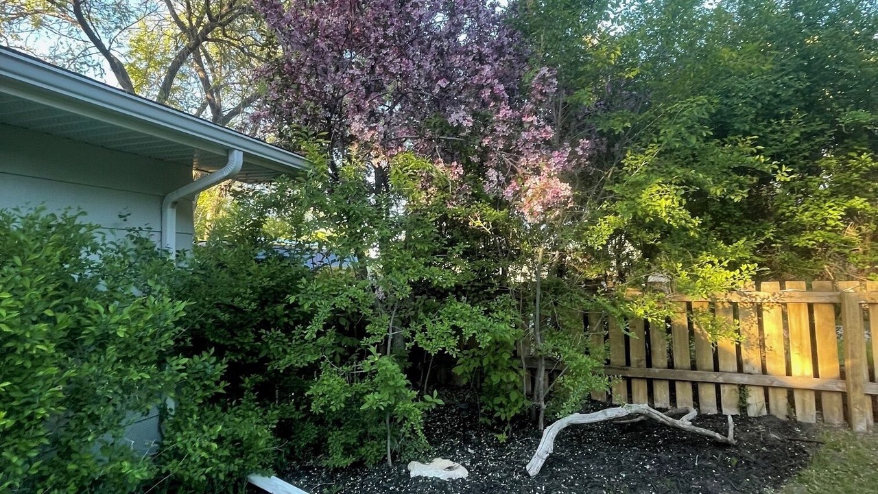 Photo of Outdoor in B-Say-Tah