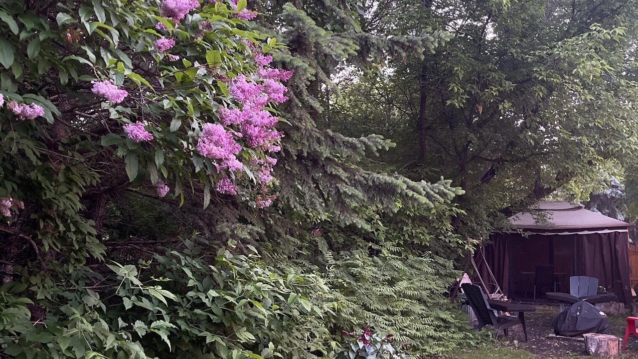 Photo of Outdoor in B-Say-Tah