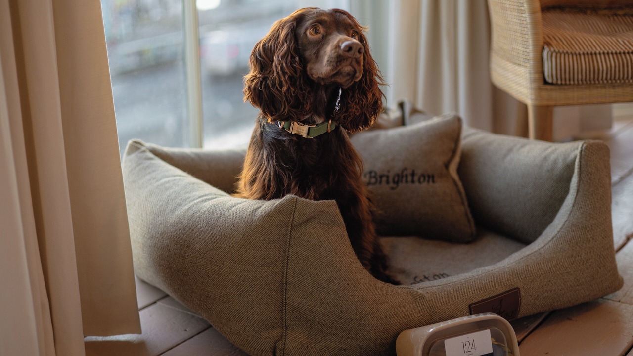 Photo of Bedroom in Seafront