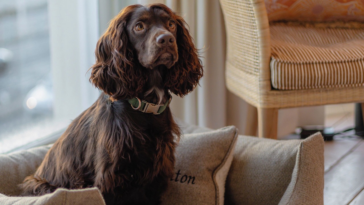 Photo of Bedroom in Seafront