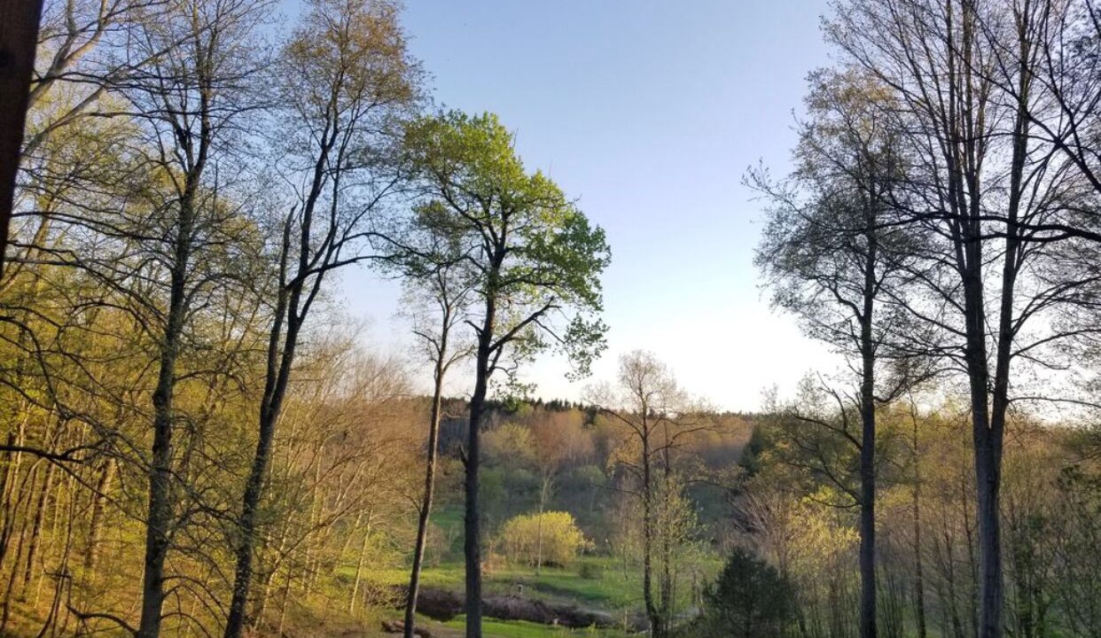 Photo of Others in South Butler