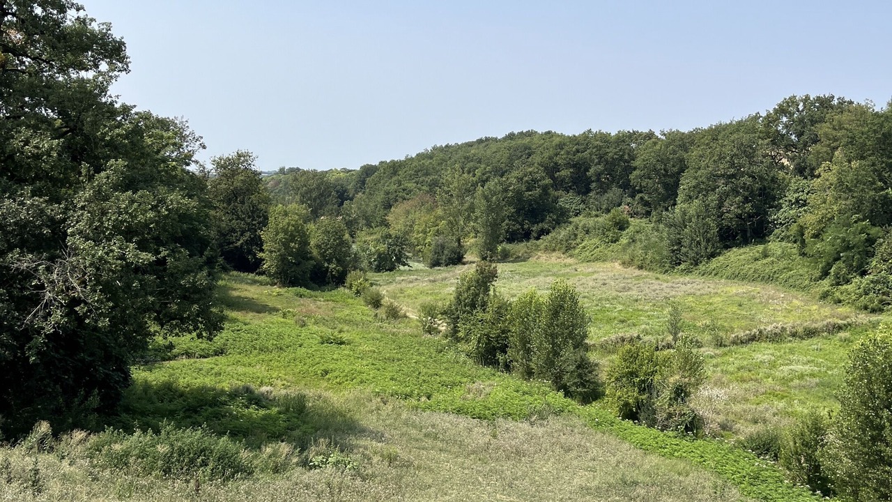 Photo of Outdoor in Saint-Creac