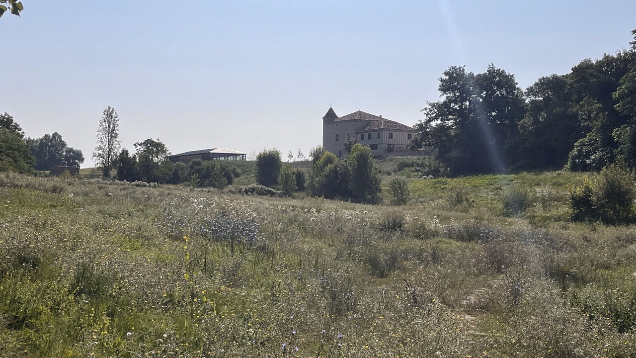 Photo of Outdoor in Saint-Creac